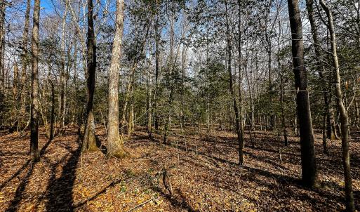 Photo #39 of Off of Sparks Terrace, Quinton, VA 116.3 acres