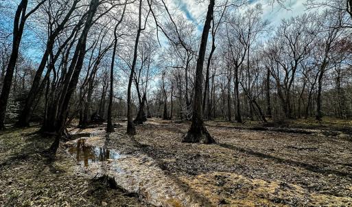 Photo #40 of Off of Sparks Terrace, Quinton, VA 116.3 acres