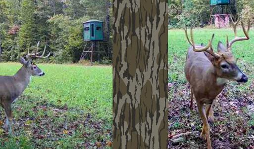 Photo #41 of Off of Sparks Terrace, Quinton, VA 116.3 acres