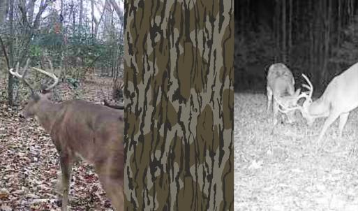 Photo #44 of Off of Sparks Terrace, Quinton, VA 116.3 acres