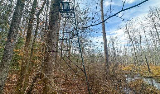 Photo #46 of Off of Sparks Terrace, Quinton, VA 116.3 acres