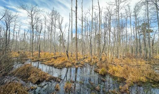 Photo #47 of Off of Sparks Terrace, Quinton, VA 116.3 acres