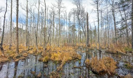 Photo #48 of Off of Sparks Terrace, Quinton, VA 116.3 acres