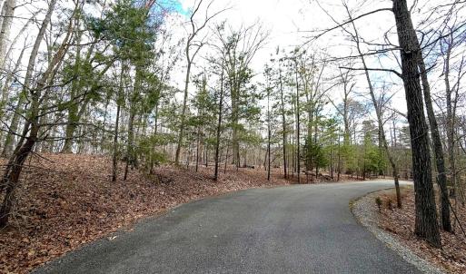Photo #6 of Off of Runaway Bay Rd, Lynch Station, VA 1.5 acres