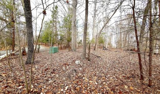 Photo #8 of Off of Runaway Bay Rd, Lynch Station, VA 1.5 acres