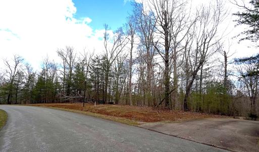 Photo #20 of Off of Runaway Bay Rd, Lynch Station, VA 1.5 acres
