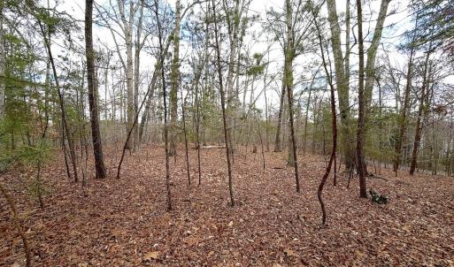 Photo #22 of Off of Runaway Bay Rd, Lynch Station, VA 1.5 acres