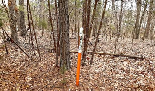 Photo #23 of Off of Runaway Bay Rd, Lynch Station, VA 1.5 acres
