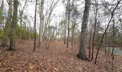 Photo #25 of Off of Runaway Bay Rd, Lynch Station, VA 1.5 acres