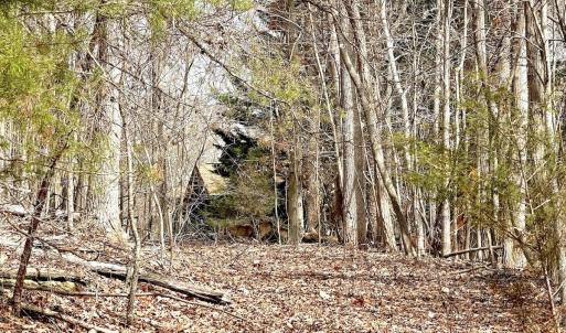 Photo #29 of Off of Runaway Bay Rd, Lynch Station, VA 1.5 acres