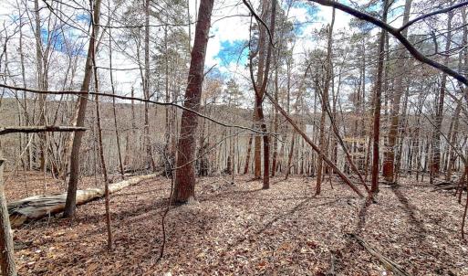 Photo #30 of Off of Runaway Bay Rd, Lynch Station, VA 1.5 acres