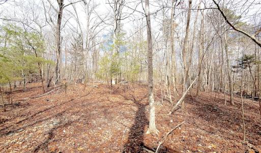 Photo #31 of Off of Runaway Bay Rd, Lynch Station, VA 1.5 acres