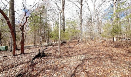 Photo #32 of Off of Runaway Bay Rd, Lynch Station, VA 1.5 acres