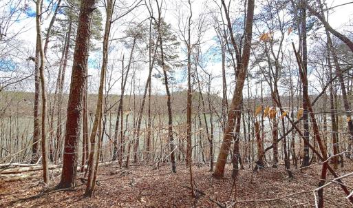 Photo #33 of Off of Runaway Bay Rd, Lynch Station, VA 1.5 acres