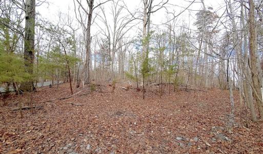 Photo #34 of Off of Runaway Bay Rd, Lynch Station, VA 1.5 acres