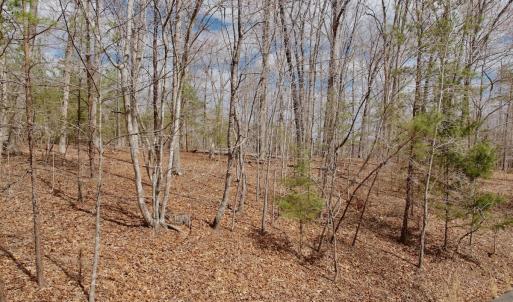 Photo #35 of Off of Runaway Bay Rd, Lynch Station, VA 1.5 acres