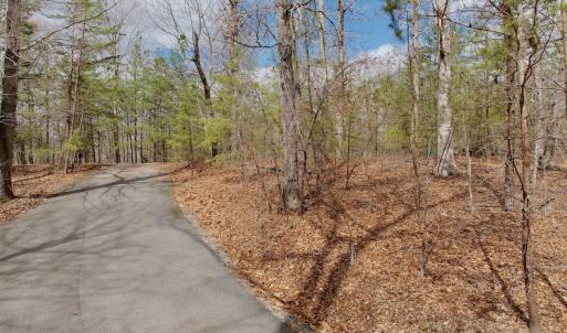 Photo #36 of Off of Runaway Bay Rd, Lynch Station, VA 1.5 acres