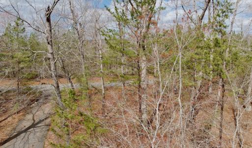 Photo #37 of Off of Runaway Bay Rd, Lynch Station, VA 1.5 acres