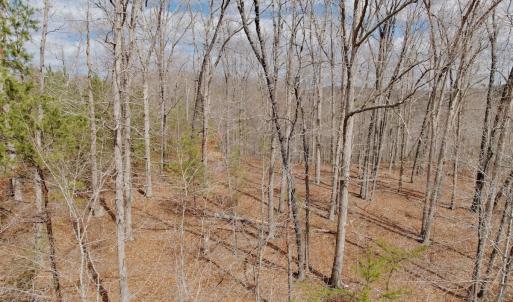 Photo #38 of Off of Runaway Bay Rd, Lynch Station, VA 1.5 acres