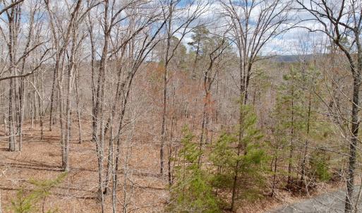 Photo #39 of Off of Runaway Bay Rd, Lynch Station, VA 1.5 acres