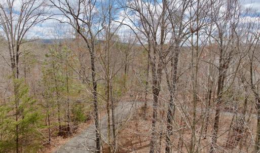 Photo #40 of Off of Runaway Bay Rd, Lynch Station, VA 1.5 acres