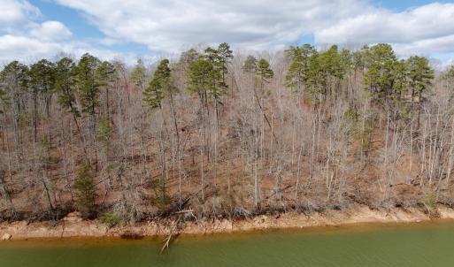Photo #45 of Off of Runaway Bay Rd, Lynch Station, VA 1.5 acres