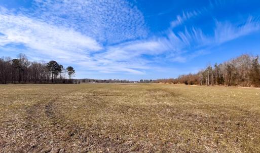 Photo #4 of Off of West Rd, Chesapeake, VA 58.0 acres