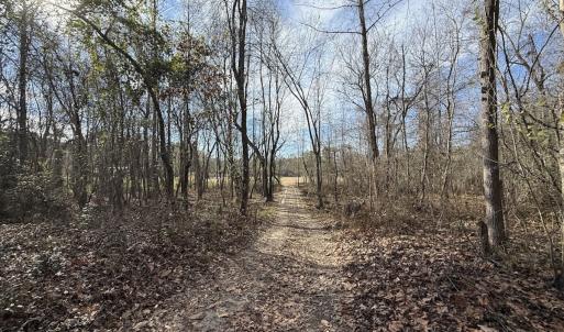 Photo #43 of Off NC 42, Tarboro, NC 39.7 acres