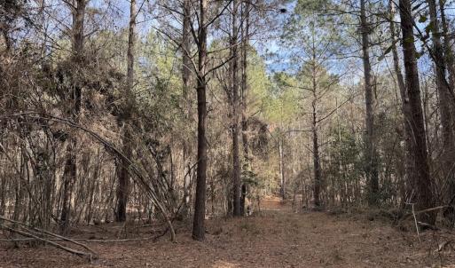 Photo #48 of Off NC 42, Tarboro, NC 39.7 acres