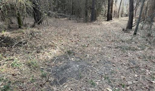 Photo #49 of Off NC 42, Tarboro, NC 39.7 acres