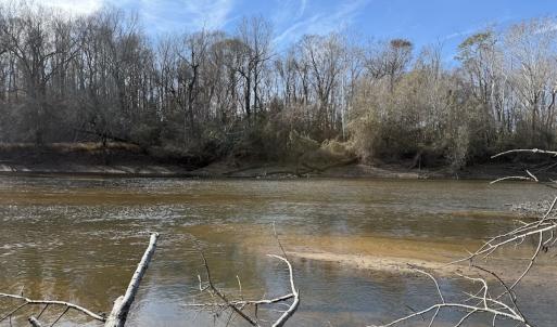 Photo #51 of Off NC 42, Tarboro, NC 39.7 acres