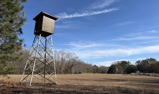 Photo #61 of Off NC 42, Tarboro, NC 39.7 acres