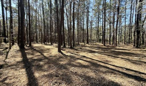 Photo #11 of Off of Creek Place Rd, Arapahoe, NC 2.2 acres