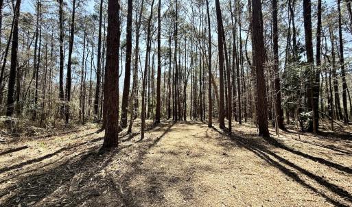 Photo #12 of Off of Creek Place Rd, Arapahoe, NC 2.2 acres