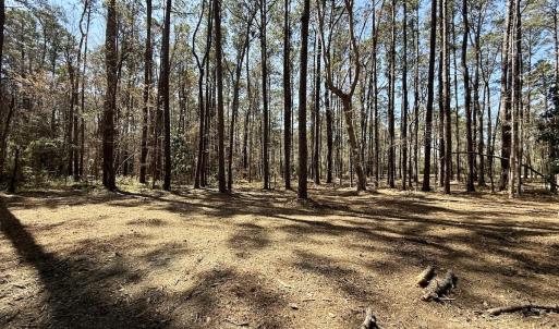 Photo #13 of Off of Creek Place Rd, Arapahoe, NC 2.2 acres