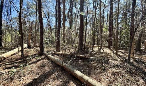 Photo #17 of Off of Creek Place Rd, Arapahoe, NC 2.2 acres
