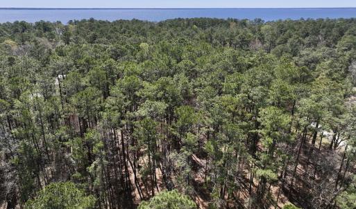 Photo #2 of Off of Creek Place Rd, Arapahoe, NC 2.2 acres