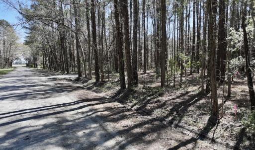 Photo #21 of Off of Creek Place Rd, Arapahoe, NC 2.2 acres