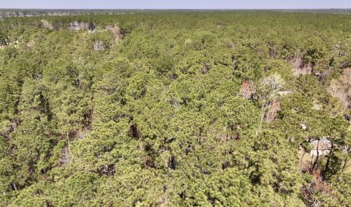 Photo #4 of Off of Creek Place Rd, Arapahoe, NC 2.2 acres