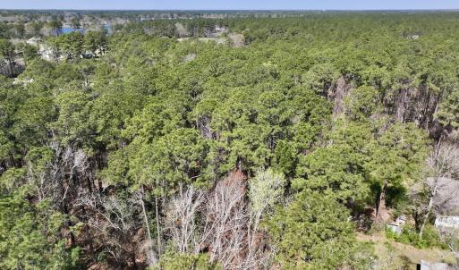 Photo #5 of Off of Creek Place Rd, Arapahoe, NC 2.2 acres