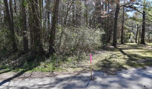 Photo #11 of Off Creek Place, Arapahoe, NC 2.2 acres