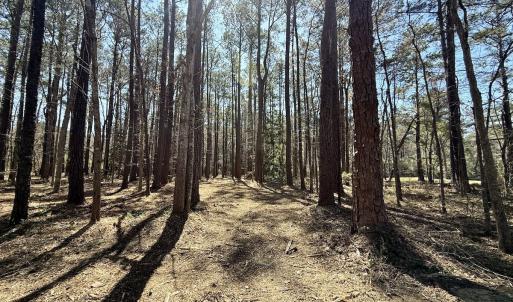Photo #12 of Off Creek Place, Arapahoe, NC 2.2 acres