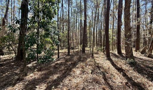 Photo #15 of Off Creek Place, Arapahoe, NC 2.2 acres