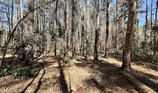 Photo #16 of Off Creek Place, Arapahoe, NC 2.2 acres