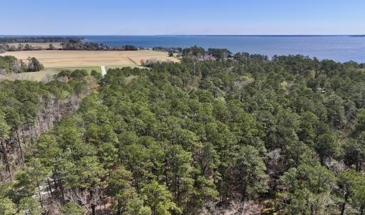 Photo #3 of Off Creek Place, Arapahoe, NC 2.2 acres