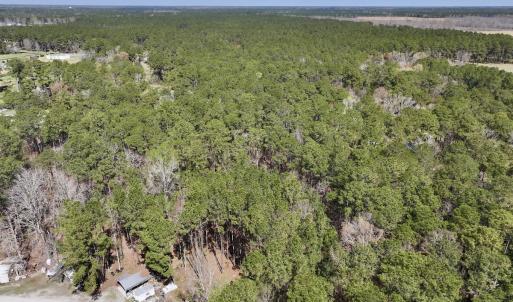 Photo #4 of Off Creek Place, Arapahoe, NC 2.2 acres