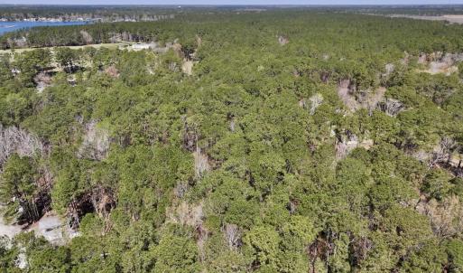 Photo #5 of Off Creek Place, Arapahoe, NC 2.2 acres