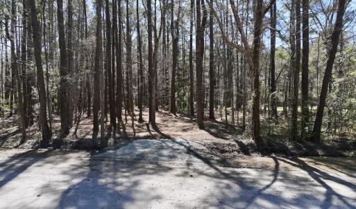 Photo #9 of Off Creek Place, Arapahoe, NC 2.2 acres
