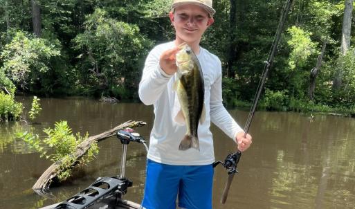 Photo #31 of 13496 Shands Road, Stony Creek, VA 44.0 acres