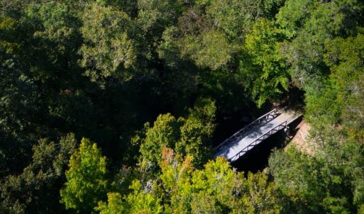 Photo #32 of 13496 Shands Road, Stony Creek, VA 44.0 acres